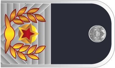 погон