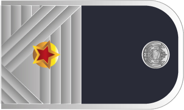 погон