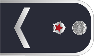 погон